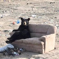 李星河的帖子-个人中心-联想社区